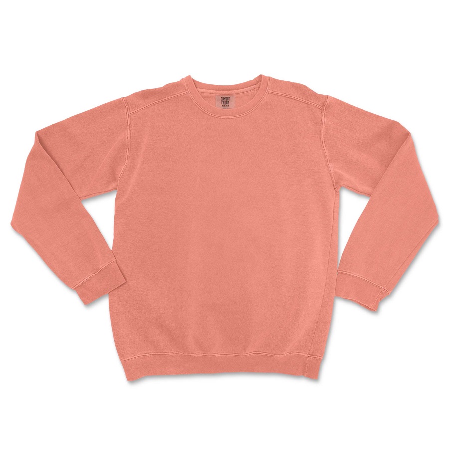 Color Sweatshirt